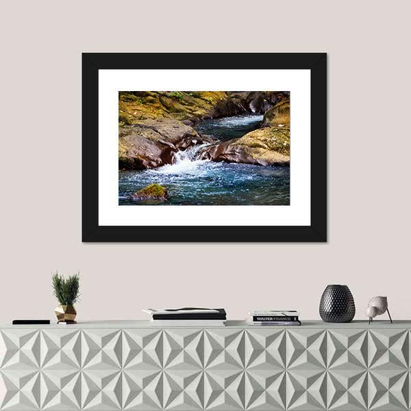 Stream In Rain Forest With Little Waterfalls Canvas Wall Art-1 Piece-Framed Print-20" x 16"-Tiaracle