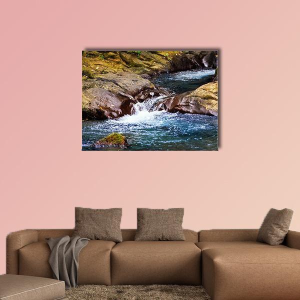 Rainforest Stream with Little Waterfalls Canvas Wall Art in brown, green and blue, single panel hung on a wall