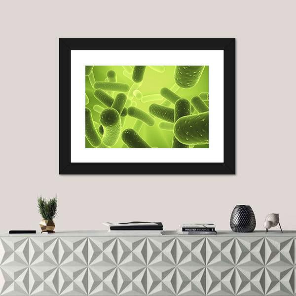 Structure Of Bacteria Canvas Wall Art-1 Piece-Framed Print-20" x 16"-Tiaracle