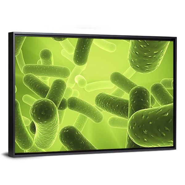 Structure Of Bacteria Canvas Wall Art-3 Horizontal-Gallery Wrap-25" x 16"-Tiaracle