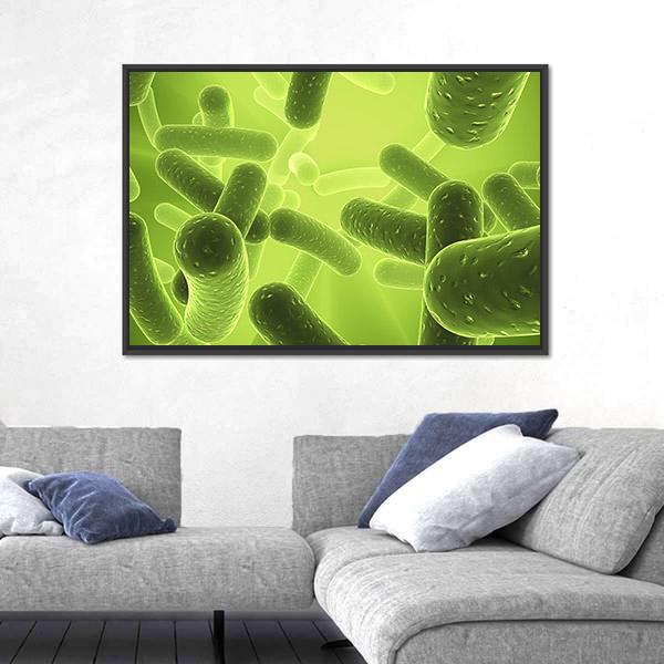 Structure Of Bacteria Canvas Wall Art-3 Horizontal-Gallery Wrap-25" x 16"-Tiaracle