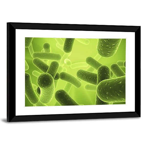 Structure Of Bacteria Canvas Wall Art-3 Horizontal-Gallery Wrap-25" x 16"-Tiaracle