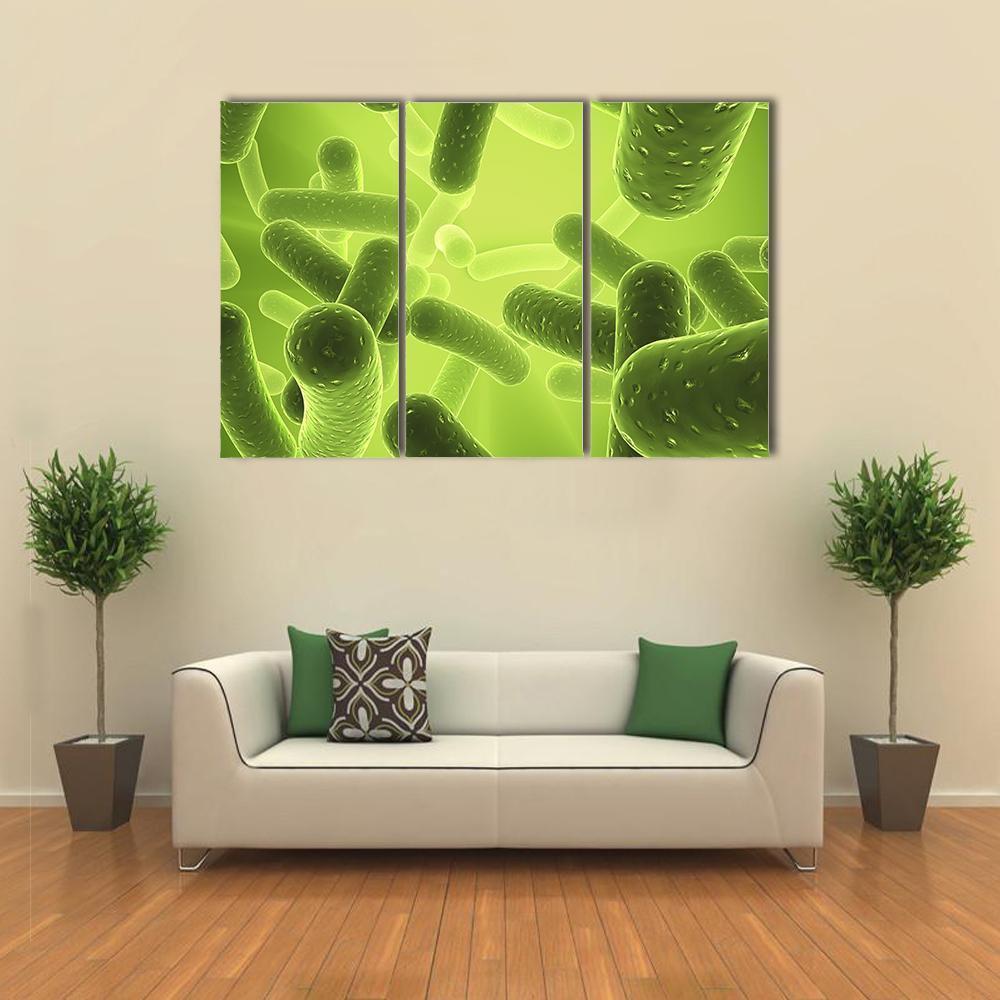Structure Of Bacteria Canvas Wall Art-3 Horizontal-Gallery Wrap-37" x 24"-Tiaracle