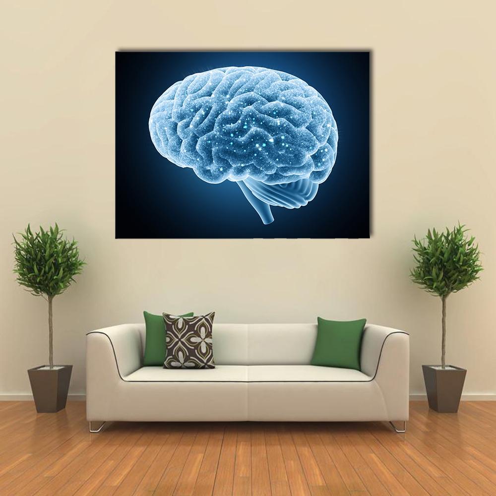 Structure Of Brain Canvas Wall Art-4 Horizontal-Gallery Wrap-34" x 24"-Tiaracle