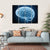 Structure Of Brain Canvas Wall Art-4 Horizontal-Gallery Wrap-34" x 24"-Tiaracle