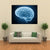 Structure Of Brain Canvas Wall Art-1 Piece-Gallery Wrap-48" x 32"-Tiaracle