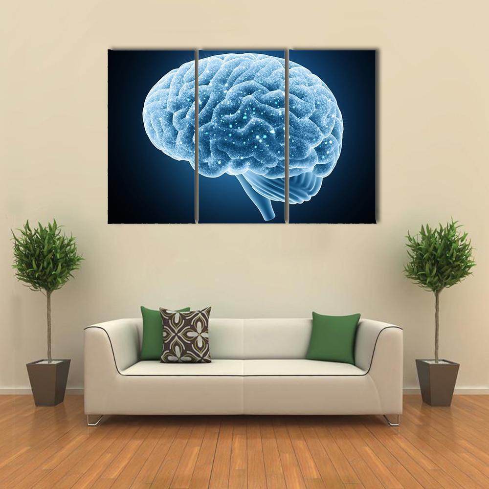 Structure Of Brain Canvas Wall Art-3 Horizontal-Gallery Wrap-37" x 24"-Tiaracle
