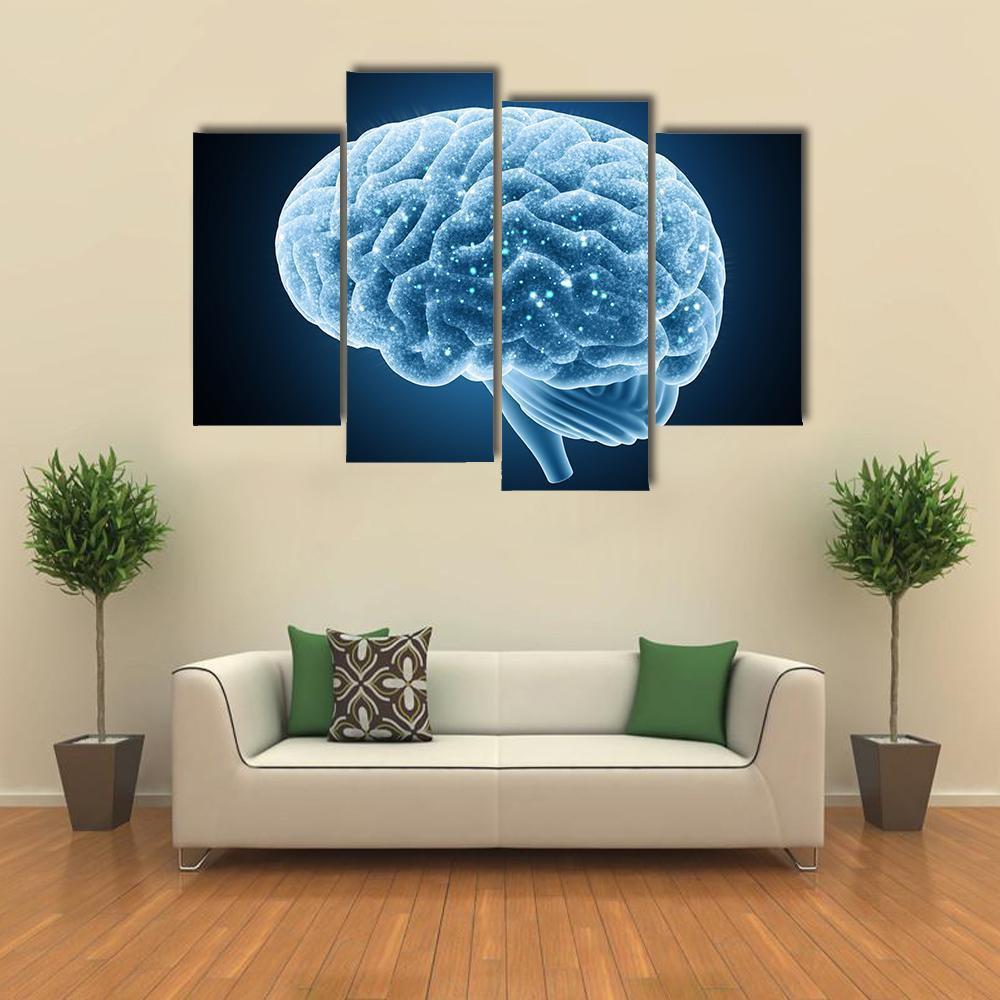 Structure Of Brain Canvas Wall Art-4 Pop-Gallery Wrap-50" x 32"-Tiaracle