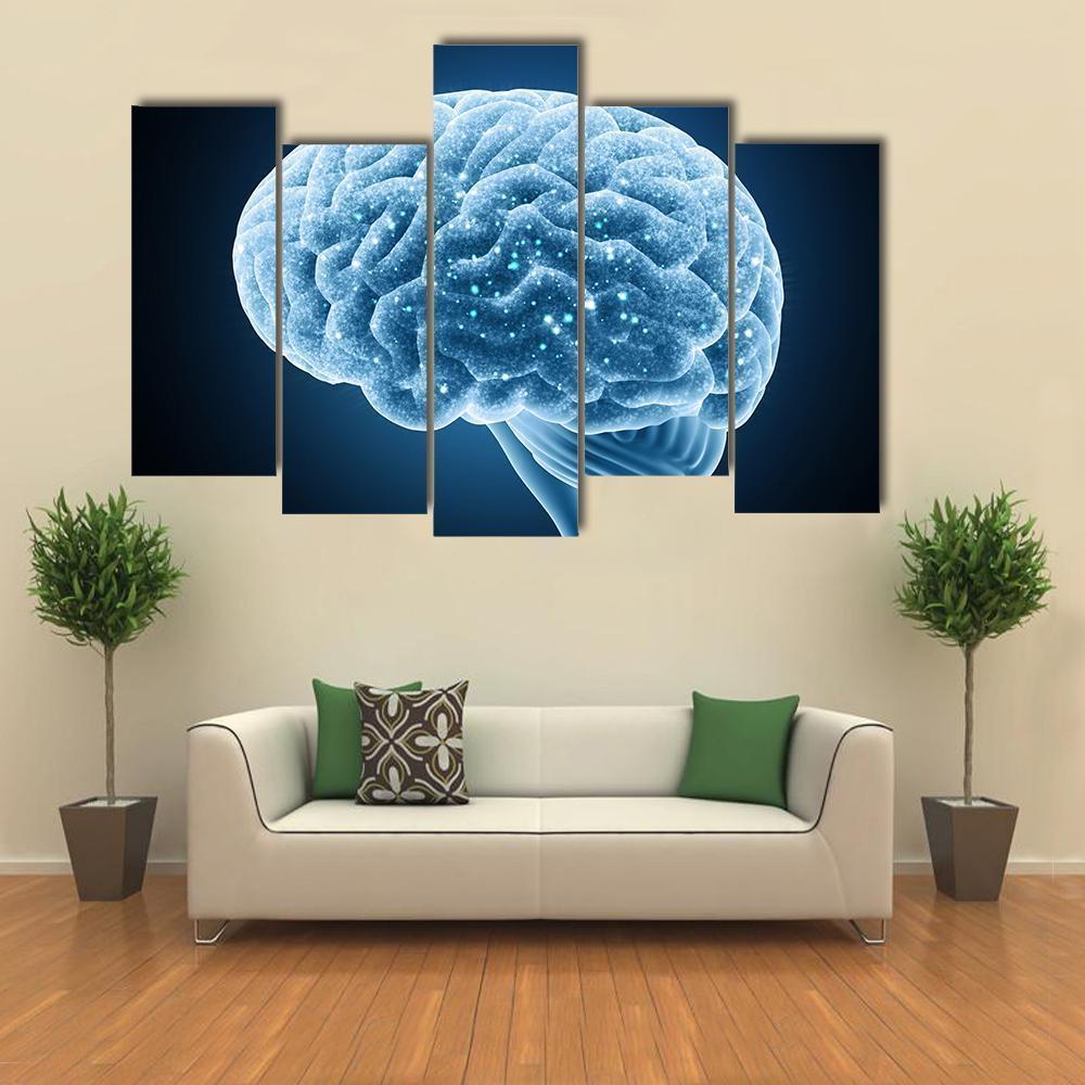 Structure Of Brain Canvas Wall Art-5 Pop-Gallery Wrap-47" x 32"-Tiaracle
