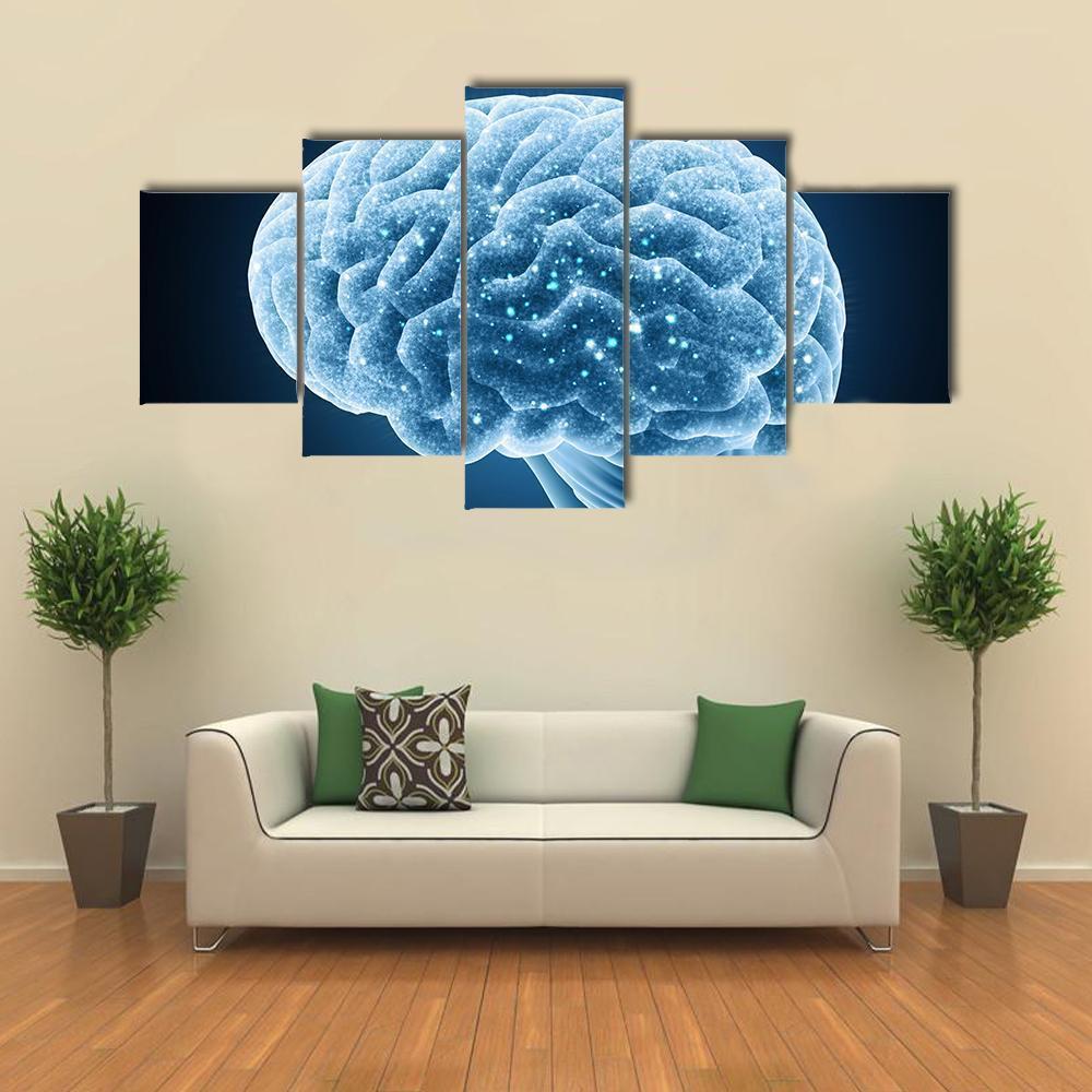 Structure Of Brain Canvas Wall Art-5 Star-Gallery Wrap-62" x 32"-Tiaracle