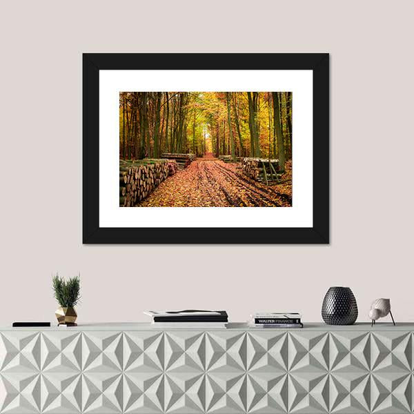 Stumped Tree In An Autumn Forest Canvas Wall Art-1 Piece-Framed Print-20" x 16"-Tiaracle