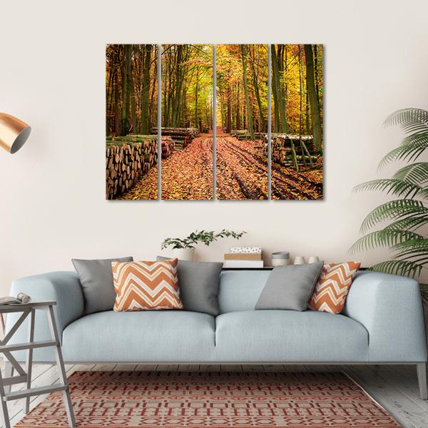 Stumped Tree In An Autumn Forest Canvas Wall Art-4 Horizontal-Gallery Wrap-34" x 24"-Tiaracle