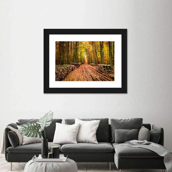Stumped Tree In An Autumn Forest Canvas Wall Art-3 Horizontal-Gallery Wrap-25" x 16"-Tiaracle