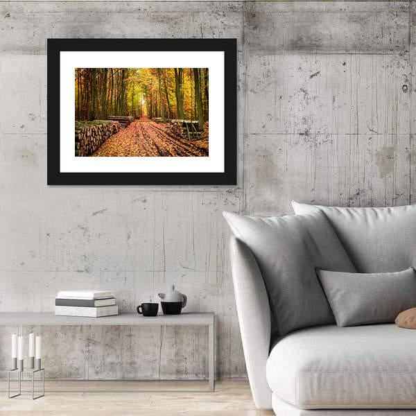 Stumped Tree In An Autumn Forest Canvas Wall Art-3 Horizontal-Gallery Wrap-25" x 16"-Tiaracle