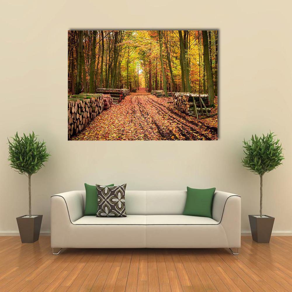 Stumped Tree in Autumn Forest Canvas Wall Art in brown, orange and yellow, single panel hung on a wall