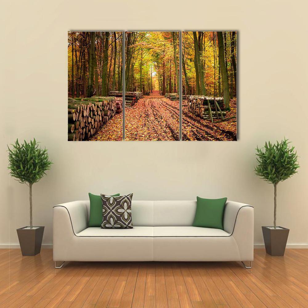 Stumped Tree In An Autumn Forest Canvas Wall Art-3 Horizontal-Gallery Wrap-37" x 24"-Tiaracle