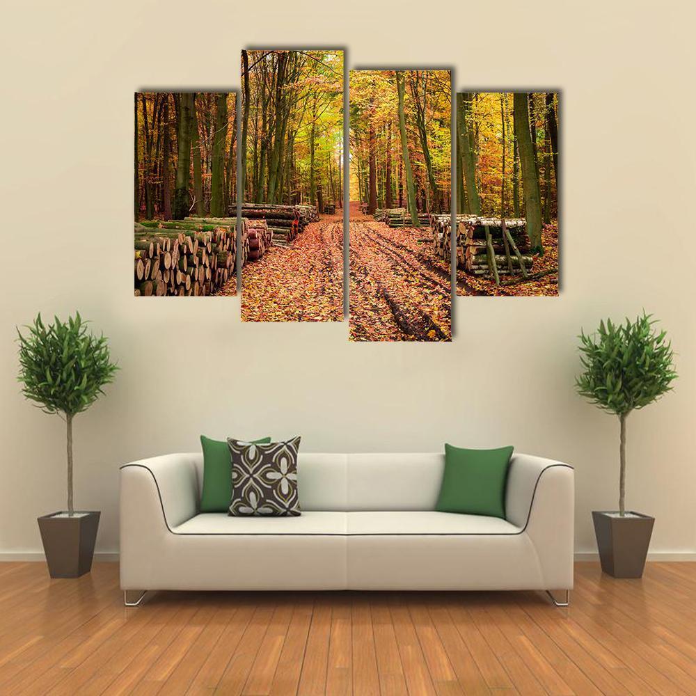 Stumped Tree In An Autumn Forest Canvas Wall Art-4 Pop-Gallery Wrap-50" x 32"-Tiaracle