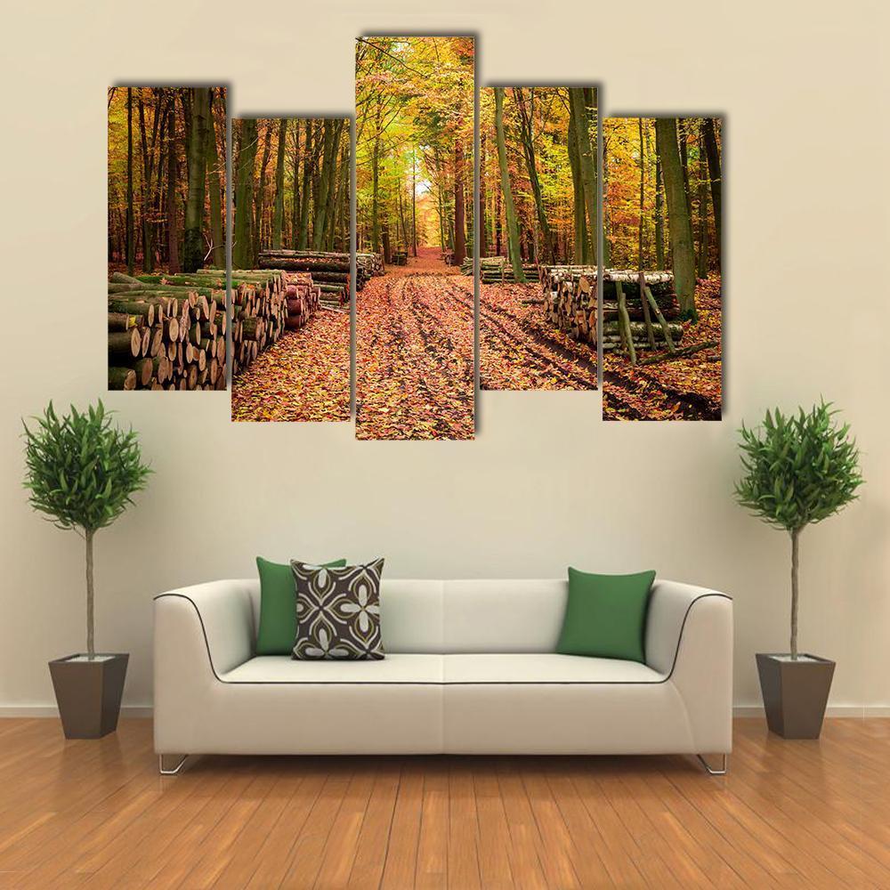 Stumped Tree In An Autumn Forest Canvas Wall Art-5 Pop-Gallery Wrap-47" x 32"-Tiaracle