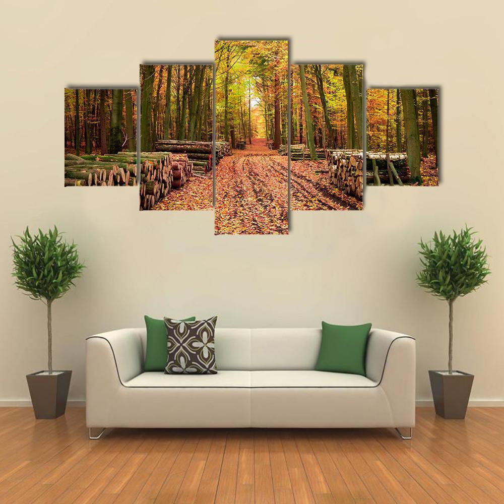 Stumped Tree In An Autumn Forest Canvas Wall Art-5 Star-Gallery Wrap-62" x 32"-Tiaracle