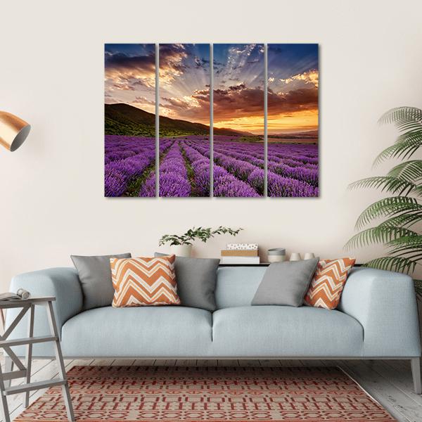 Stunning Landscape With Lavender Field At Sunrise Canvas Wall Art-4 Horizontal-Gallery Wrap-34" x 24"-Tiaracle