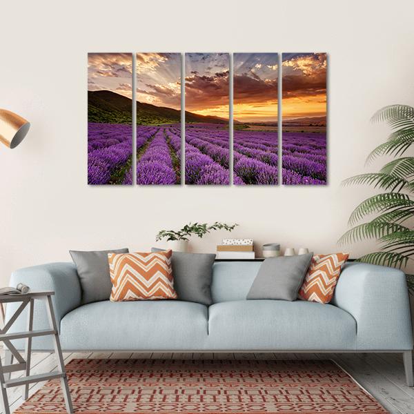 Stunning Landscape With Lavender Field At Sunrise Canvas Wall Art-5 Horizontal-Gallery Wrap-22" x 12"-Tiaracle