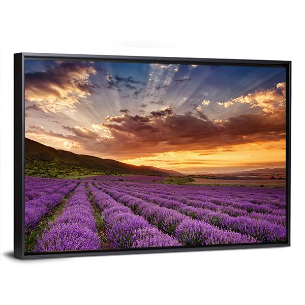 Stunning Landscape With Lavender Field At Sunrise Canvas Wall Art-3 Horizontal-Gallery Wrap-25" x 16"-Tiaracle