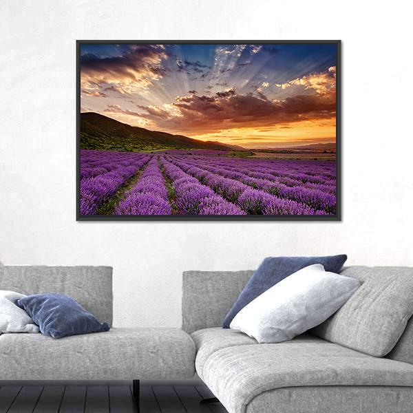Stunning Landscape With Lavender Field At Sunrise Canvas Wall Art-3 Horizontal-Gallery Wrap-25" x 16"-Tiaracle