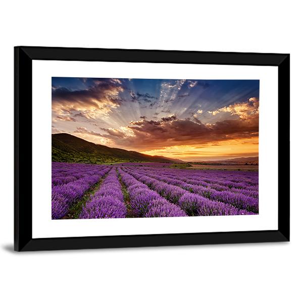 Stunning Landscape With Lavender Field At Sunrise Canvas Wall Art-3 Horizontal-Gallery Wrap-25" x 16"-Tiaracle