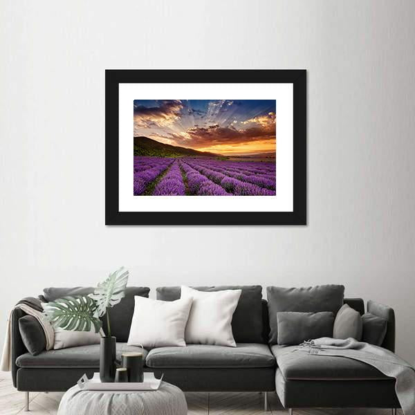 Stunning Landscape With Lavender Field At Sunrise Canvas Wall Art-3 Horizontal-Gallery Wrap-25" x 16"-Tiaracle