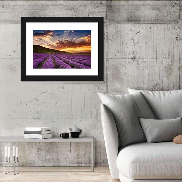 Stunning Landscape With Lavender Field At Sunrise Canvas Wall Art-3 Horizontal-Gallery Wrap-25" x 16"-Tiaracle