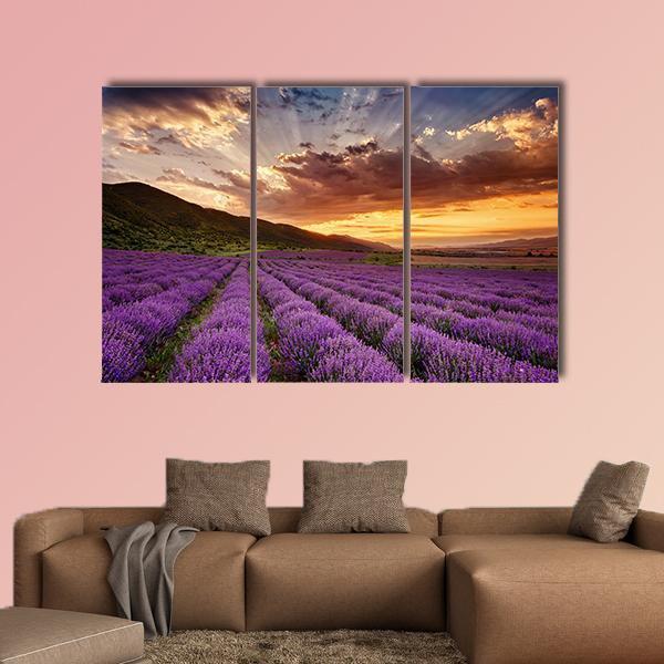 Stunning Landscape With Lavender Field At Sunrise Canvas Wall Art-3 Horizontal-Gallery Wrap-37" x 24"-Tiaracle