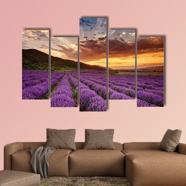Stunning Landscape With Lavender Field At Sunrise Canvas Wall Art-5 Pop-Gallery Wrap-47" x 32"-Tiaracle