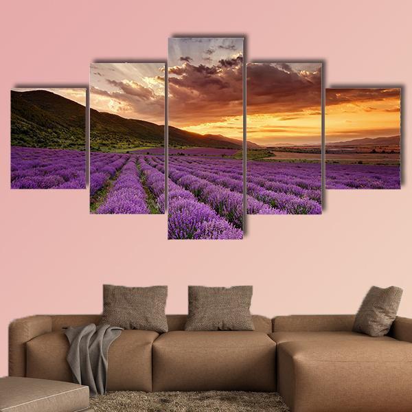 Stunning Landscape With Lavender Field At Sunrise Canvas Wall Art-5 Star-Gallery Wrap-62" x 32"-Tiaracle