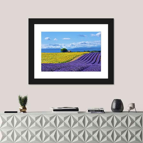 Stunning Rural Landscape With Lavender Field Canvas Wall Art-1 Piece-Framed Print-20&quot; x 16&quot;-Tiaracle