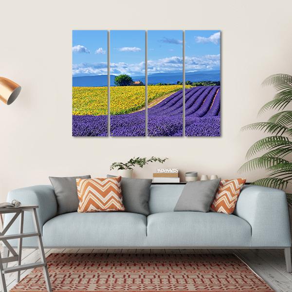 Stunning Rural Landscape With Lavender Field Canvas Wall Art-4 Horizontal-Gallery Wrap-34" x 24"-Tiaracle