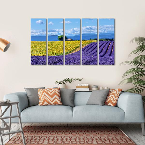 Stunning Rural Landscape With Lavender Field Canvas Wall Art-5 Horizontal-Gallery Wrap-22" x 12"-Tiaracle