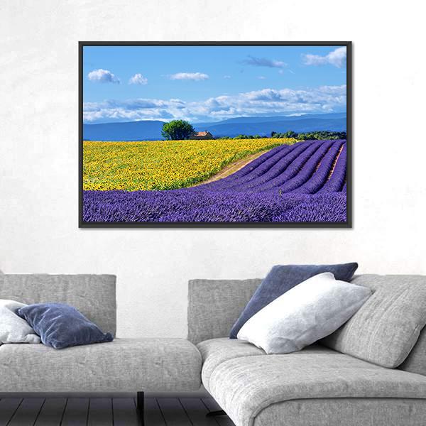 Stunning Rural Landscape With Lavender Field Canvas Wall Art-3 Horizontal-Gallery Wrap-25&quot; x 16&quot;-Tiaracle