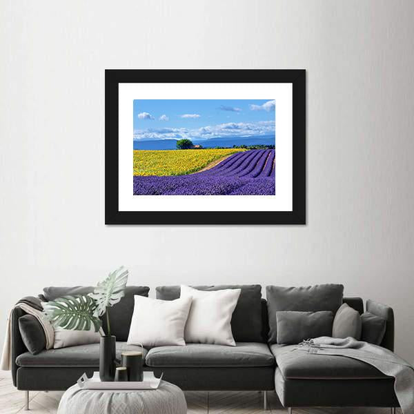 Stunning Rural Landscape With Lavender Field Canvas Wall Art-3 Horizontal-Gallery Wrap-25&quot; x 16&quot;-Tiaracle