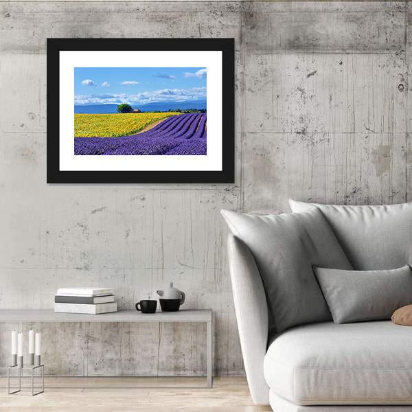 Stunning Rural Landscape With Lavender Field Canvas Wall Art-3 Horizontal-Gallery Wrap-25" x 16"-Tiaracle