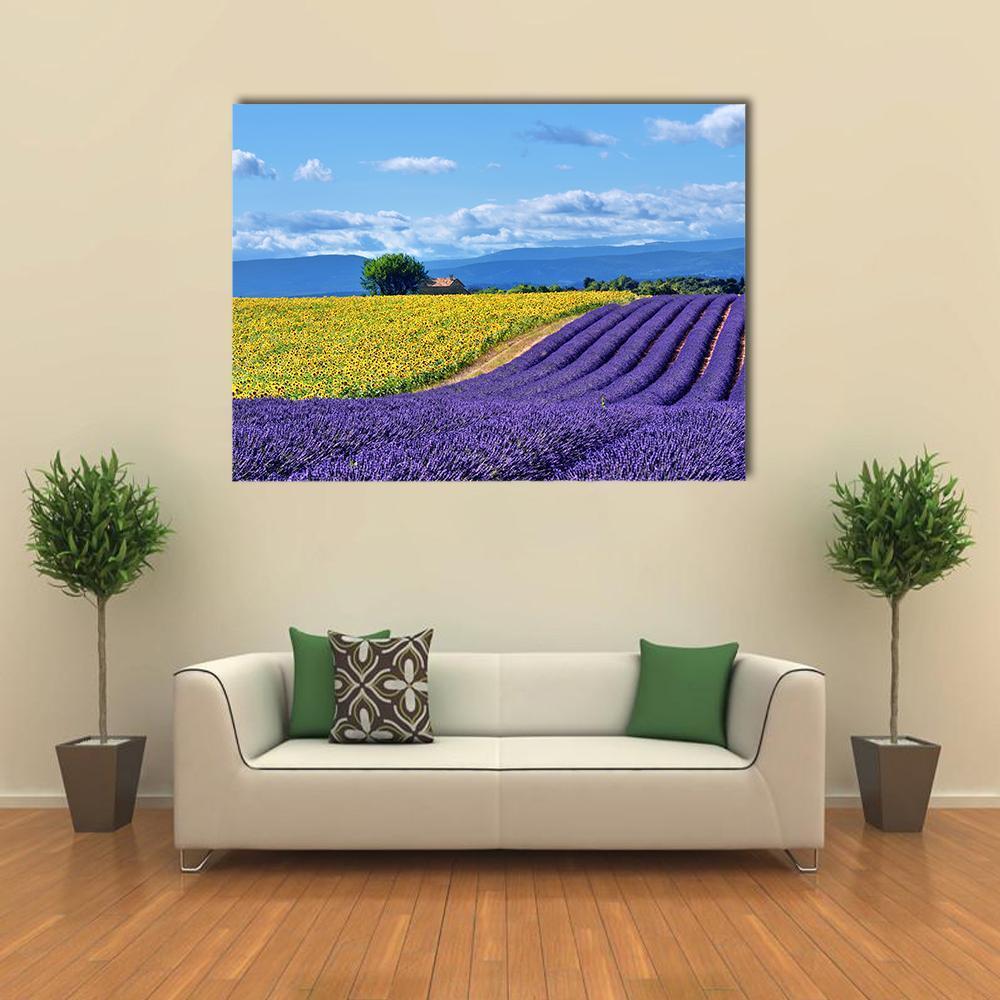 Stunning Rural Landscape With Lavender Field Canvas Wall Art-1 Piece-Gallery Wrap-48" x 32"-Tiaracle