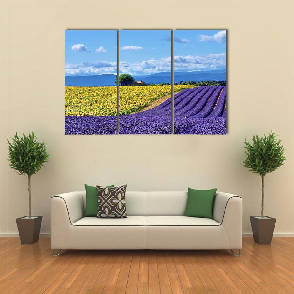 Stunning Rural Landscape With Lavender Field Canvas Wall Art-3 Horizontal-Gallery Wrap-37&quot; x 24&quot;-Tiaracle