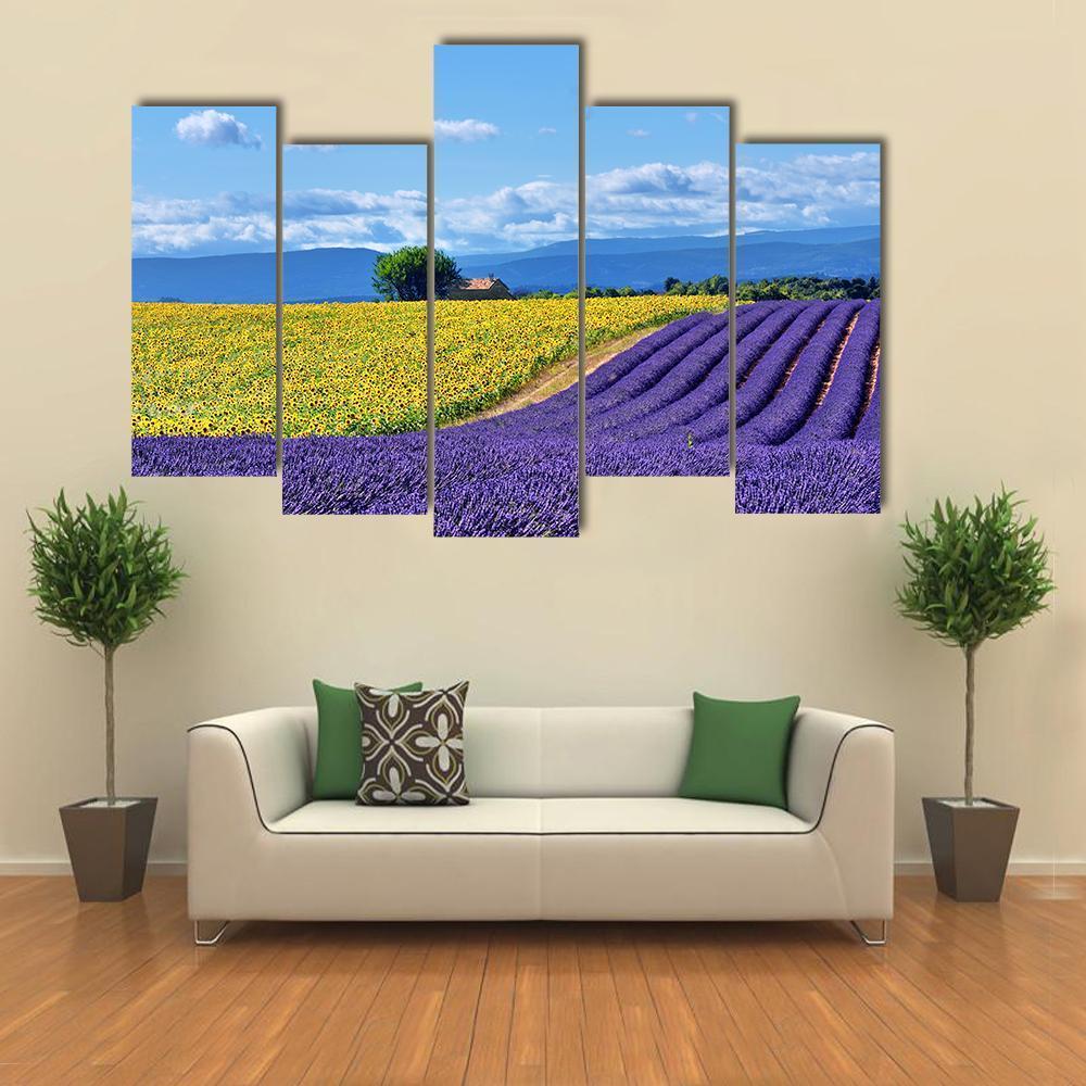 Stunning Rural Landscape With Lavender Field Canvas Wall Art-5 Pop-Gallery Wrap-47" x 32"-Tiaracle