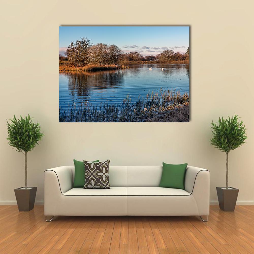 Loch with Two Swans in Morning Light Canvas Wall Art in brown and blue, single panel hung on a wall