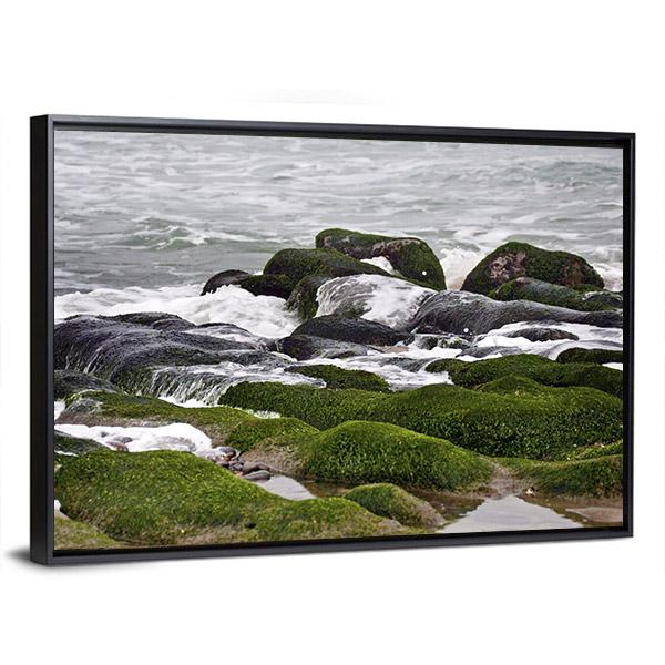 Green Rocks At Beach Canvas Wall Art-3 Horizontal-Gallery Wrap-25" x 16"-Tiaracle