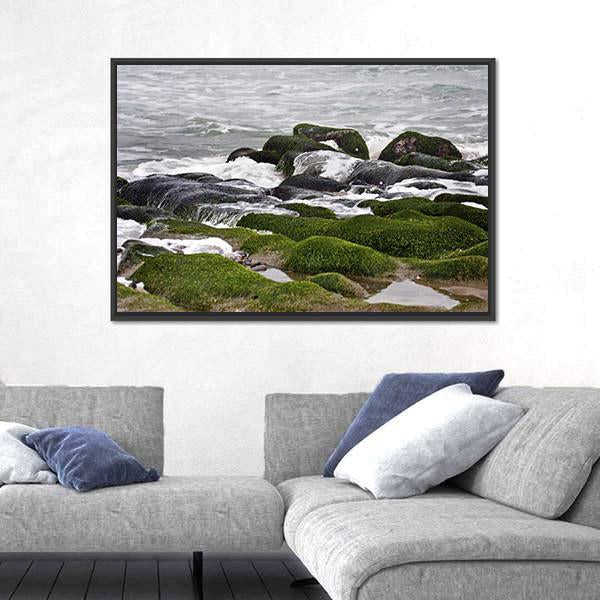 Green Rocks At Beach Canvas Wall Art-3 Horizontal-Gallery Wrap-25" x 16"-Tiaracle