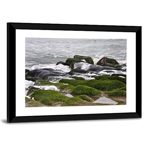 Green Rocks At Beach Canvas Wall Art-3 Horizontal-Gallery Wrap-25" x 16"-Tiaracle