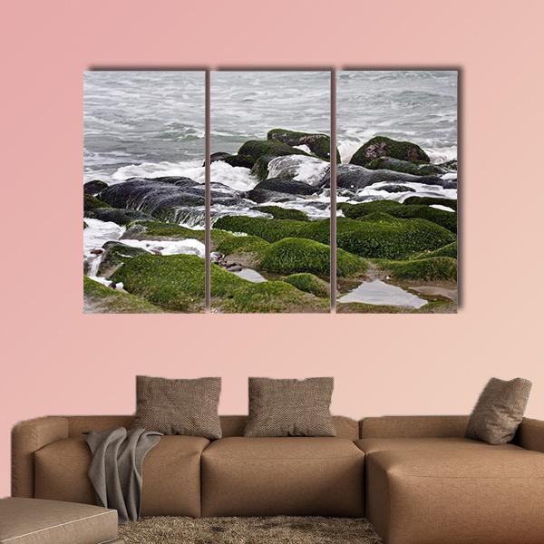 Green Rocks At Beach Canvas Wall Art-3 Horizontal-Gallery Wrap-37" x 24"-Tiaracle