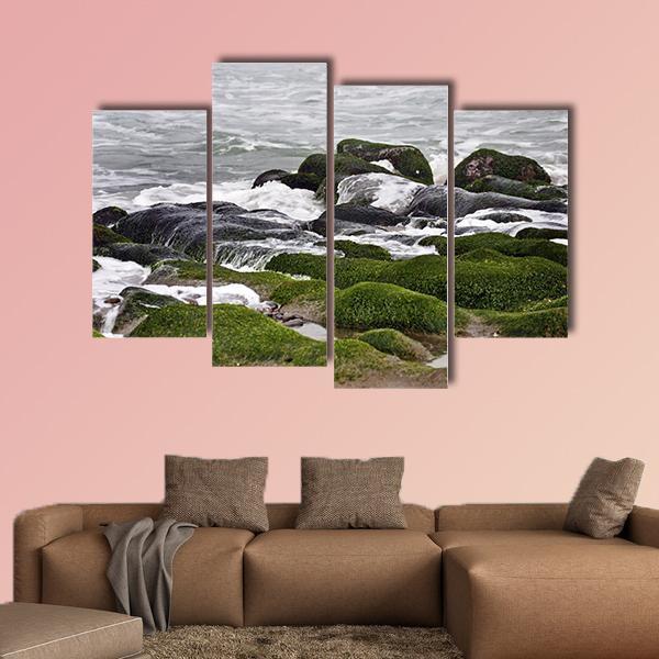 Green Rocks At Beach Canvas Wall Art-4 Pop-Gallery Wrap-50" x 32"-Tiaracle