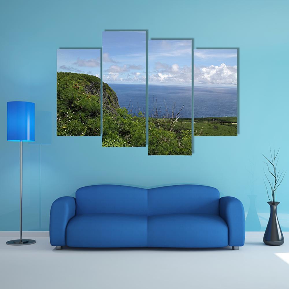 Suicide Cliff In Saipan Canvas Wall Art-4 Pop-Gallery Wrap-50" x 32"-Tiaracle