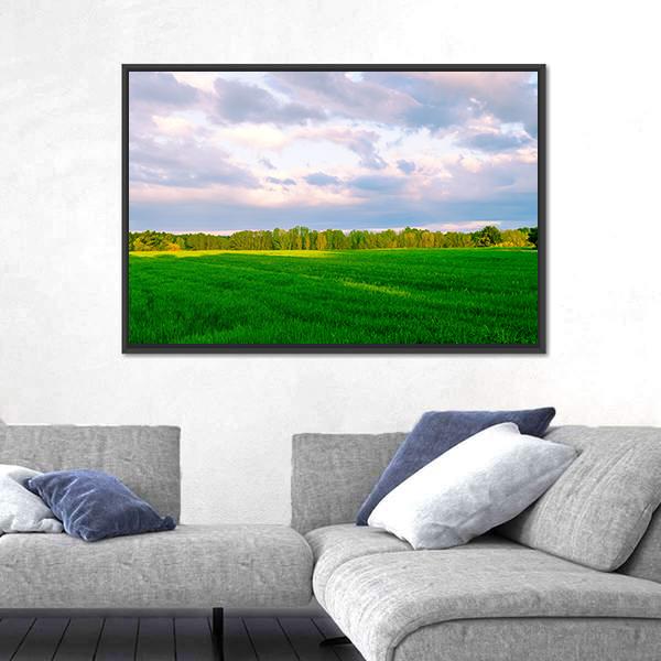 Summer Fields In Segovia Panoramic Canvas Wall Art-1 Piece-36" x 12"-Tiaracle